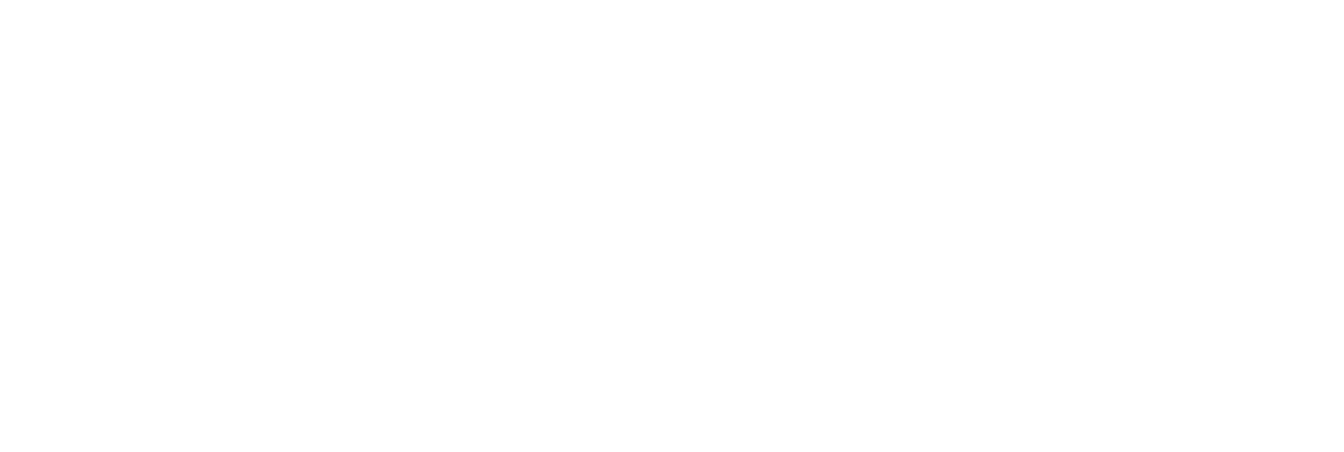 BlockSport